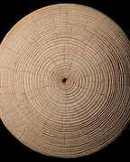 Macro of the concentric end-grain wood rings on the sauna neck pillow