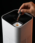 Hand dropping essential oil onto the air purifier's aromatherapy pad