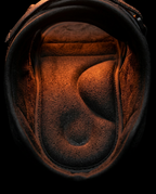 Macro of the soft padded interior sole lining of the foot brace