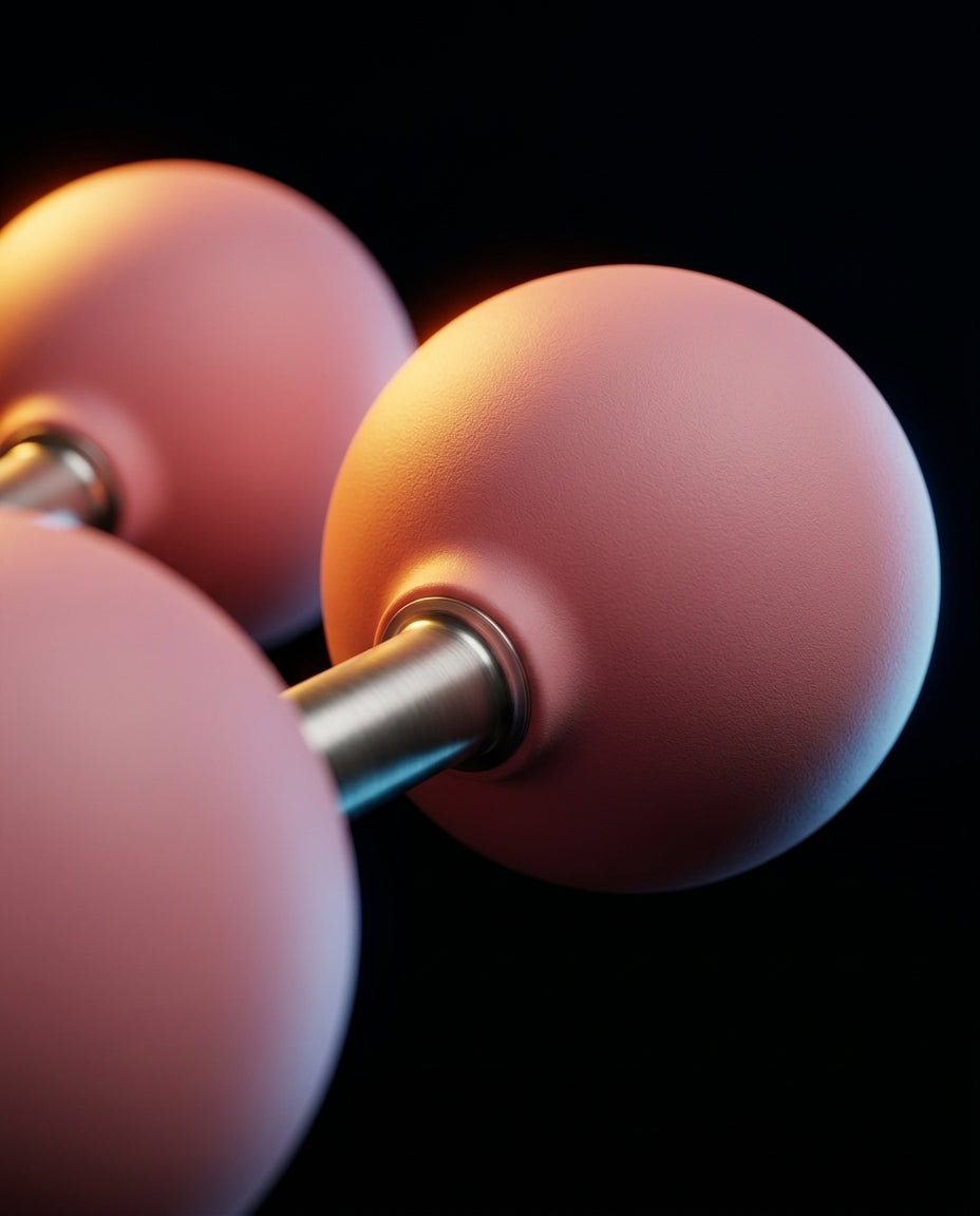 Close-up of two weighted balls on a steel rod of the arm rotation trainer