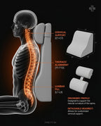 Spine anatomy diagram showing cervical, thoracic and lumbar support zones
