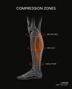 Anatomy diagram of leg compression zones from below knee to ankle