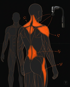 Body map showing back muscles the long-arm massage gun can reach