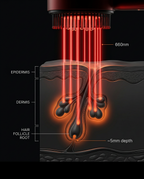 Diagram of red light red light reaching the hair follicle root through the scalp