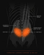 Lumbar anatomy diagram showing the belt's two heat pads over the lower back