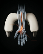 Anatomy diagram of wrist nerves supported by the cream nail arm rest