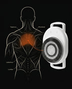Back muscle anatomy diagram beside the wall-mounted electric back scrubber