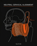 Diagram showing how the neck pillow keeps the cervical spine in alignment