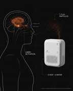 Diagram showing cold diffusion particles reaching the brain's limbic system