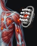 Anatomy illustration of the massage gun releasing fascia trigger points in the back