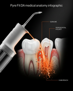 Anatomy diagram of the water jet cleaning the gumline and between teeth