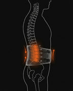 Anatomy diagram of the belt supporting the L1 to L5 lumbar vertebrae