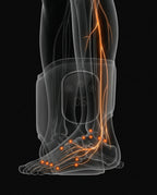Anatomy diagram of foot and ankle nerves and pressure points with the wrap