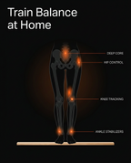 Anatomy diagram of core, hip, knee and ankle muscles engaged on the balance bar