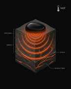 warmth diagram showing a warm stone warms the skin and muscle layers