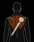 Diagram showing the long-handled body brush reaching the full back