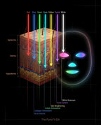 Diagram showing how each LED wavelength penetrates different skin layers
