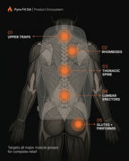 Anatomy diagram of the five back massage zones the cushion targets