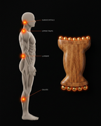 Anatomy diagram of neck, traps, lumbar and calf trigger points the roller targets