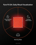 Daily ritual wheel showing morning, post-workout and evening red light use