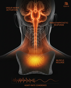 Diagram showing how the pillow's heat triggers calm relaxation response