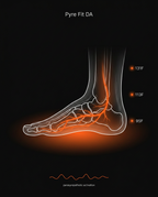 Foot anatomy diagram showing heat zones at 95F, 113F and 131F