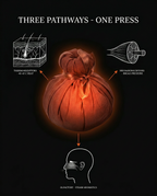 Diagram of the herbal compress three pathways: heat, pressure and aroma