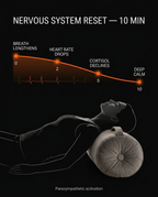 Nervous-system reset graphic with a person reclined over the velvet bolster