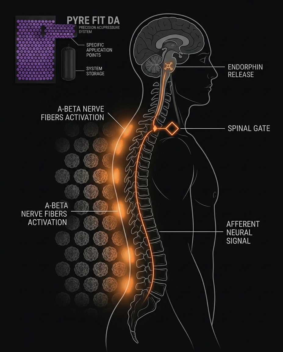 Gate control diagram showing acupressure mat activating spinal nerve fibers