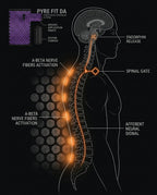 Gate control diagram showing acupressure mat activating spinal nerve fibers