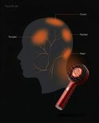 Scalp anatomy diagram showing crown, temples and nape zones the comb treats