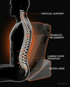 Spinal alignment diagram showing cervical, thoracic, lumbar and sacral support