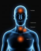 Body diagram showing cooling pulse points at forehead, carotid neck, and upper chest