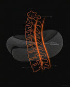 Diagram of the travel neck pillow keeping the cervical spine in alignment