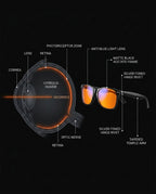 Eye anatomy diagram beside labeled blue light blocking glasses frame