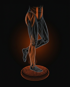 Diagram of leg muscles engaged balancing on the wobble cushion for proprioception