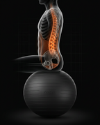 Diagram showing gentle support while sitting on the balance ball